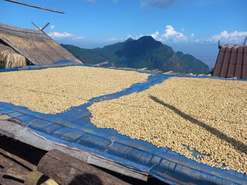 Chiang Rai: Northern Thailand Tour with Golden Triangle - Who Will Enjoy This Tour?