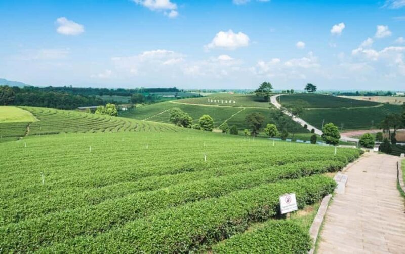 Chiang Rai: Private Customized Tour3 Places of Your Choice - Final Thoughts