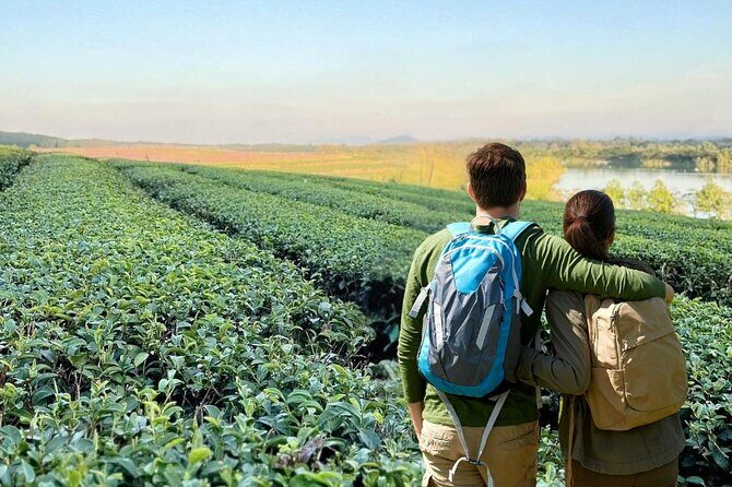 Chiang Rai Temple and Tea Plantation Private Tour from Chiang Mai - Lalitta Cafe: A Calm Finish