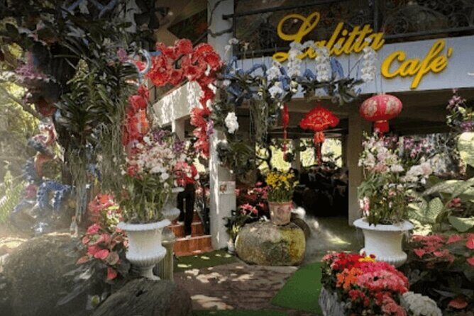 Chiang Rai Temples Plus Golden Triangle Private Hire With Guide - The Value of a Private, Personalized Experience