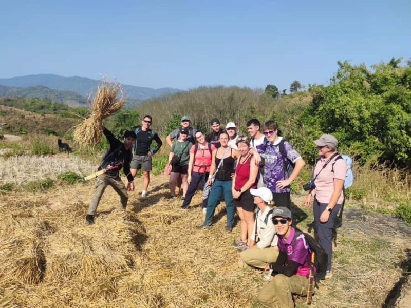 Chiang Rai: Temples, Waterfall, & Hot Springs Tour - Mountain Adventures and Scenic Cuisine