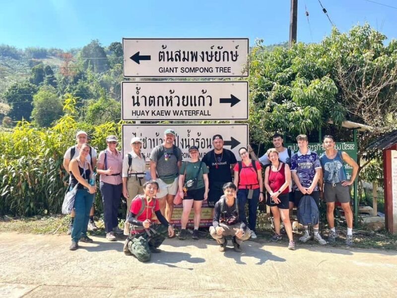 Chiang Rai: Temples, Waterfall, & Hot Springs Tour - Practical Details and Considerations