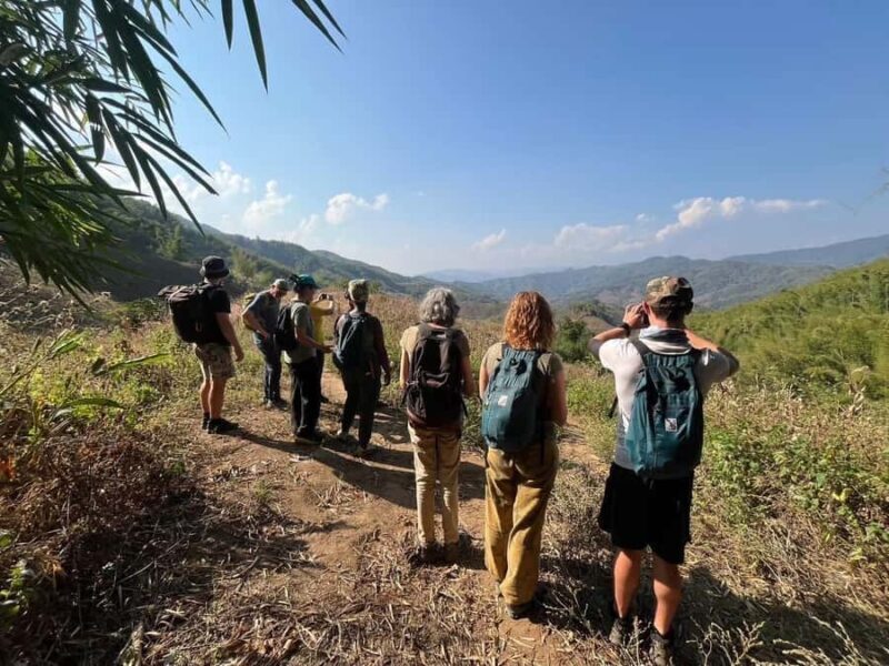 Chiang Rai: Temples, Waterfall, & Hot Springs Tour - Value and Overall Impression