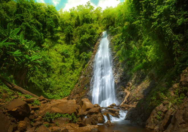 Chiang Rai: Temples, Waterfalls, Golden Triangle Guided Tour - Temples of Chiang Rai