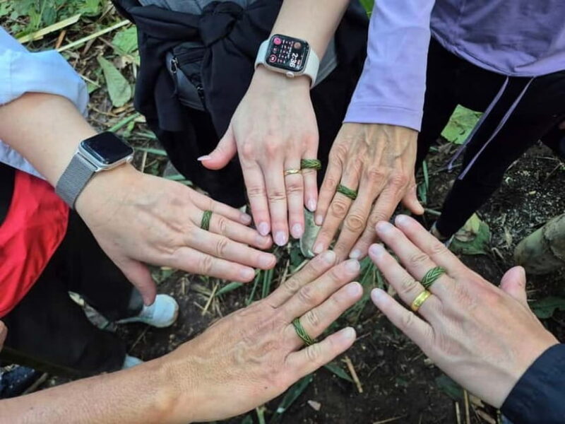 Chiang Rai: The Adventure of Trekking & Bamboo Cooking - Chiang Rai: The Adventure of Trekking & Bamboo Cooking — An Authentic Day in Northern Thailand