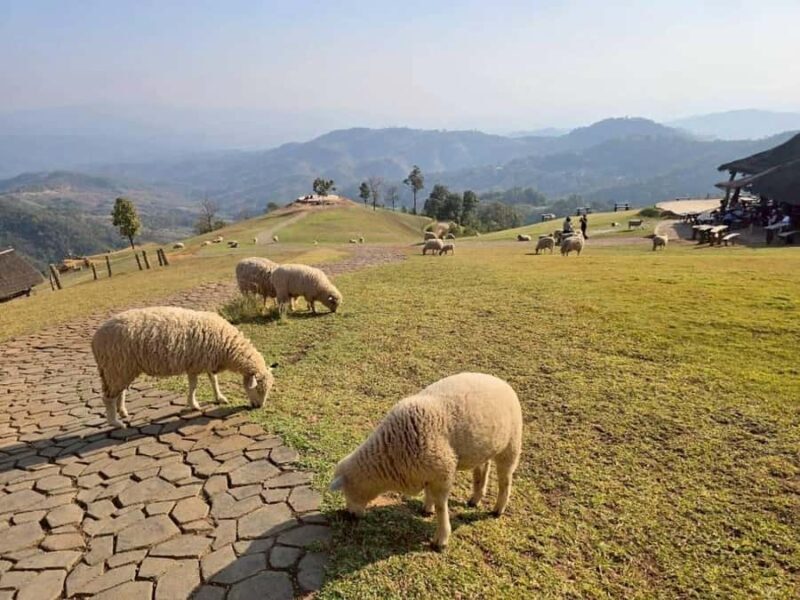 Chiang Rai to Chiang Mai: Private Scenic Transfer Tour - Good To Know