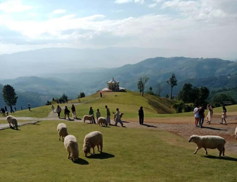 Chiang Rai to Chiang Mai: Private Scenic Transfer Tour - A Complete Look at the Chiang Rai to Chiang Mai Scenic Transfer Tour