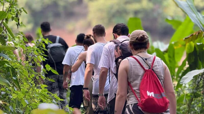 Chiang Rai: Unforgettable Trekking Tour with Bamboo Cooking - Good To Know