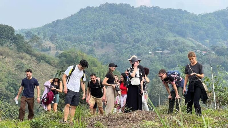 Chiang Rai: Unforgettable Trekking Tour with Bamboo Cooking - Practical Details