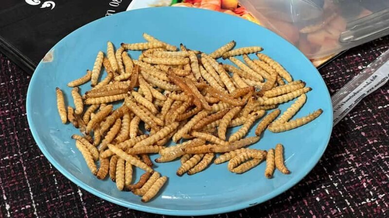 Chiang Rai: Unforgettable Trekking Tour with Bamboo Cooking - Practicalities: What to Bring and Considerations