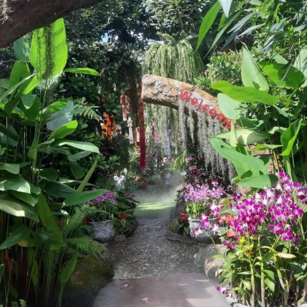 Chiang Rai White & Blue Temple, Black Museum, Lalitta Cafe - Dining at Lalitta Cafe