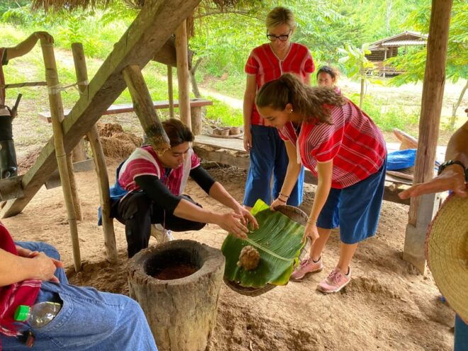 Chiang Rai:Experience the Way of the Elephants [Half-Day] - Participant Guidelines