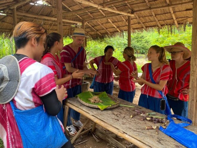 Chiang Rai:Experience the Way of the Elephants [Half-Day] - Tips for Travelers