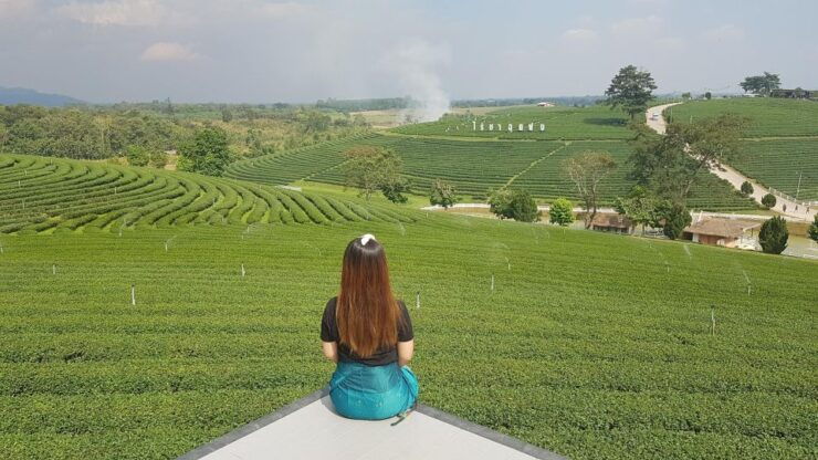 Chiang Rai:Guide With Lunch Full Day Highlight Tour - Tour Highlights