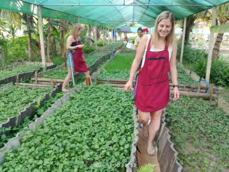 Chiang Rai:Lanna Home Cooking Class at Give Green Farm House - The Sum Up