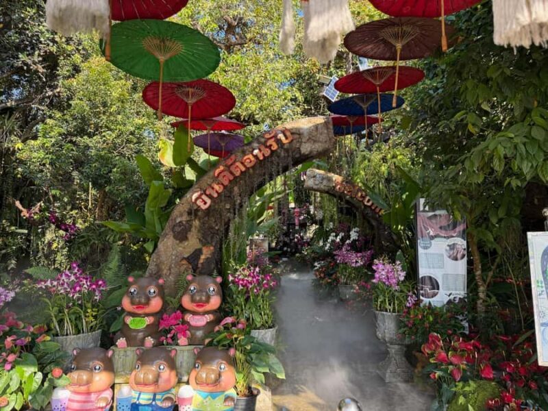 Chiang Rai's Premier Half Day: Icons, Café & Springs - Who Is This Tour Best For?