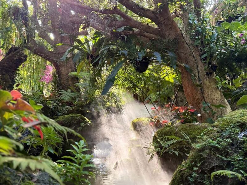 Chiang Rai's Premier Half Day: Icons, Café & Springs - FAQ