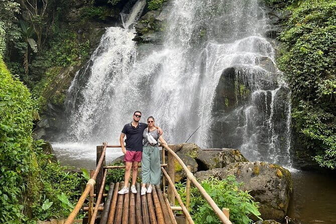 ChiangMai 1DayTour:Elephant Sanctuary,king&queen pagoda,waterfall - Good To Know