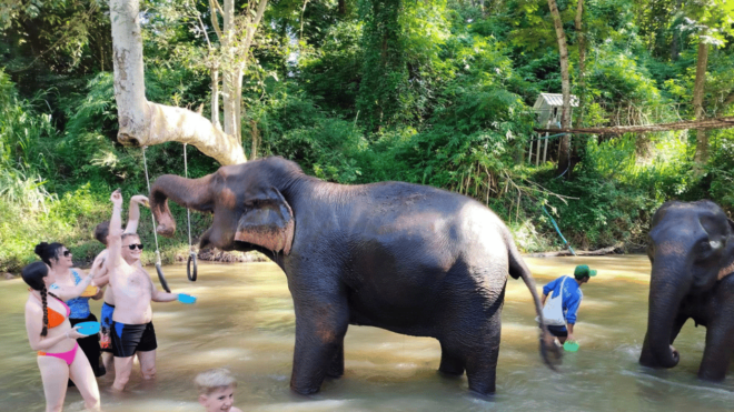 ChiangMai: 2Days 1Night Trekking + Elephant & Bamboo Rafting - Inclusions and Exclusions