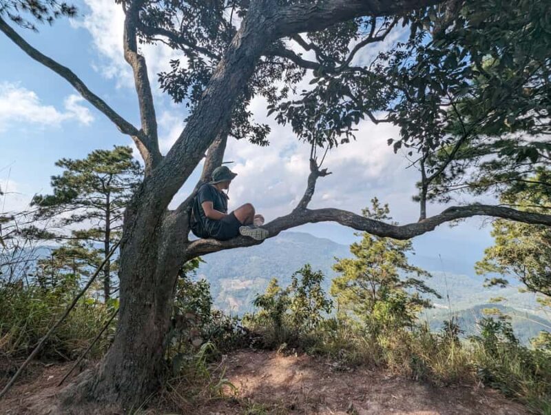 Chiangmai : Doi Pui Summit Hiking Experience - The Authenticity and Value of This Tour