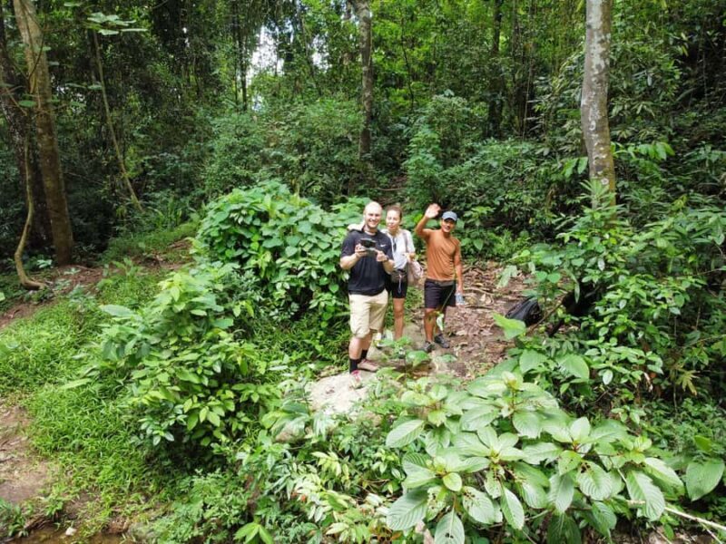 Chiangmai : Doi Pui Summit Hiking Experience - Final Thoughts