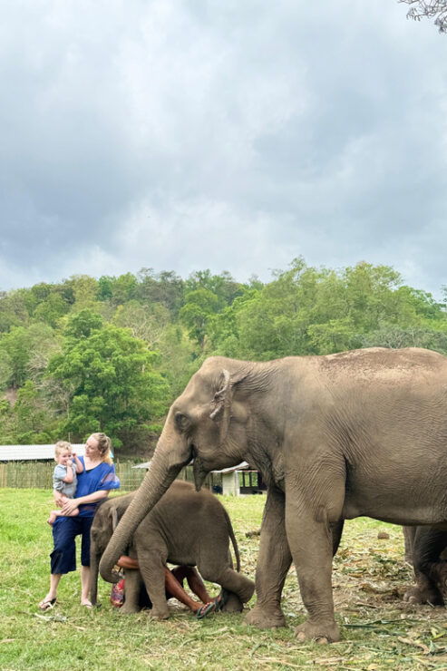 Chiangmai : Elephants, Ele Poo Paper & Sticky Waterfalls - Discovering Chiang Mais Wonders