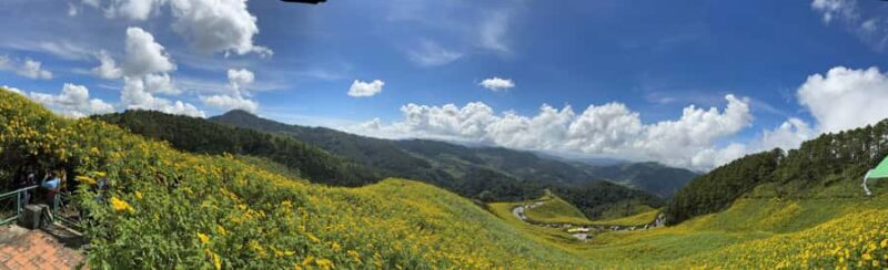 Chiangmai : Experience the magic of Mexican Sunflower field - Exploring the Itinerary: What You Can Expect