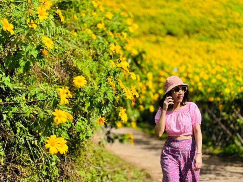 Chiangmai : Experience the magic of Mexican Sunflower field - Final Thoughts