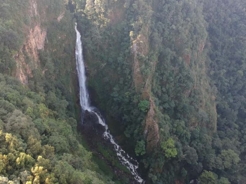 Chiangmai : Experience the magic of Mexican Sunflower field - Doi Inthanon National Park: The Final Highlight