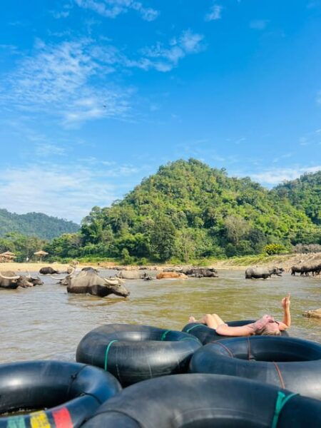 Chiangmai Full Package- Trekk, Waterfall, Tubing & Elephants - Customer Reviews and Feedback