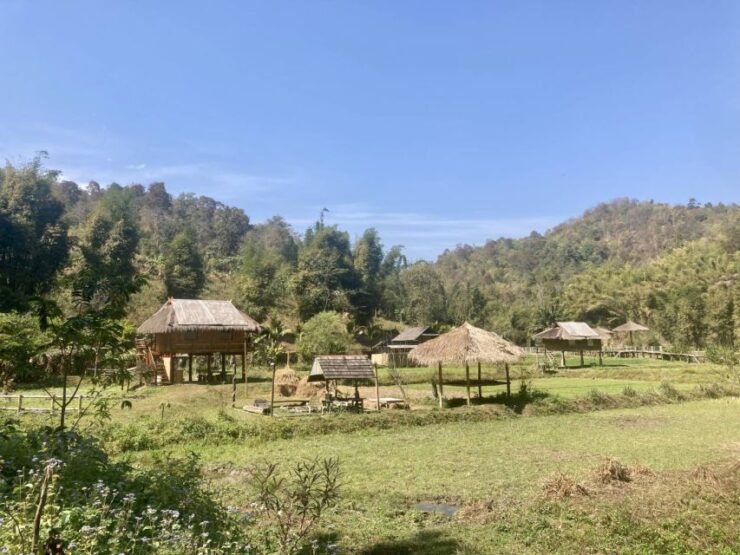 Chiangmai: Highlights Full-Day Tour With Private Driver - Experience Highlights