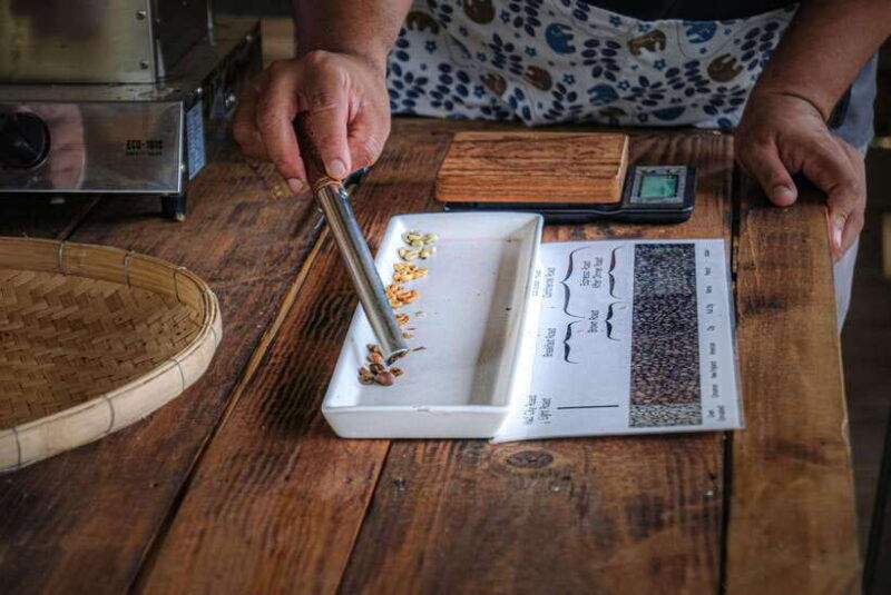 Chiangmai Hilltribe Coffee Forest : Trek Plant Roast & Brew - Good To Know