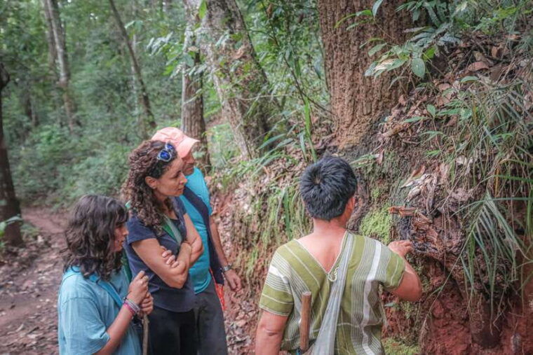 Chiangmai Hilltribe Coffee Forest : Trek Plant Roast & Brew - Tour Features