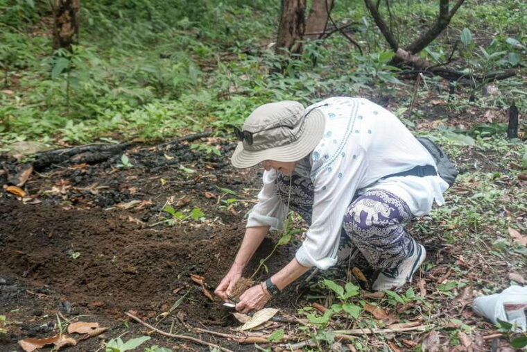 Chiangmai Hilltribe Coffee Forest : Trek Plant Roast & Brew - Customer Reviews