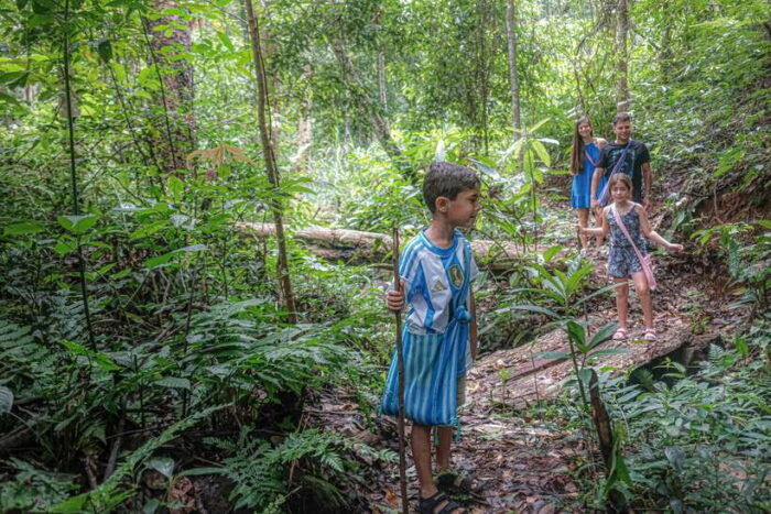 Chiangmai Hilltribe Coffee Forest : Trek Plant Roast & Brew - Journey to the Coffee Forest