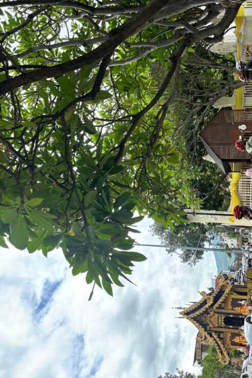 Chiangmai: Historical and Cultural Exploration Bike Tour - Itinerary Highlights