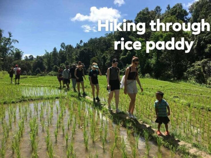 Chiangmai Mountain View Trekking Tour - Booking Information