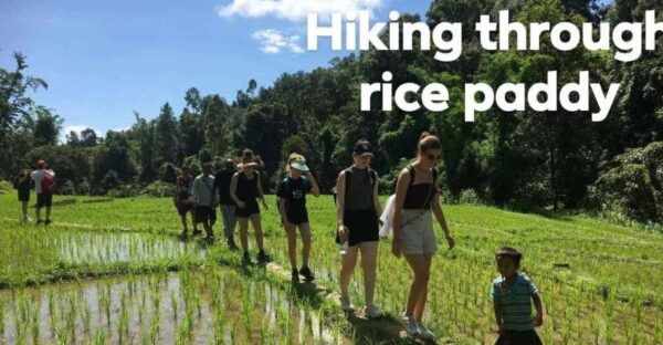 Chiangmai Mountain View Trekking Tour - Questions You May Have