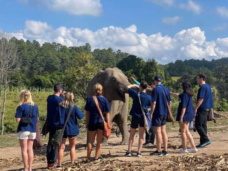 Chiangmai Overnight Trip With Ethical Elephant Santuary - Accommodation and Meals