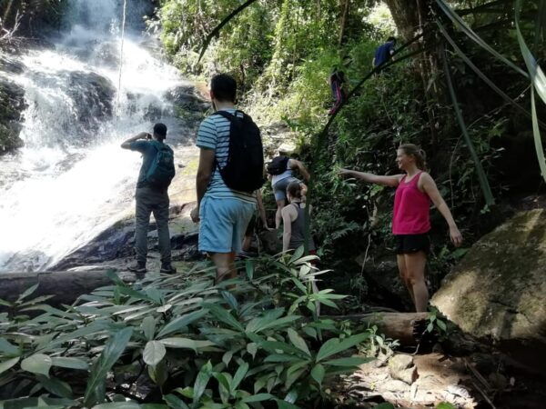 Chiangmai Sunrise Hike - Best Time to Visit