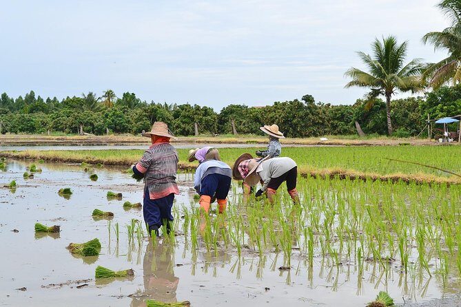 Chiangrai Hot Highlight 2 days - The Practicalities: What You Should Know