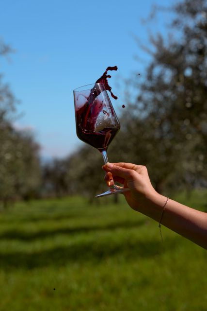 Chianni: Wine and Oil Tasting With Lunch or Dinner - Good To Know
