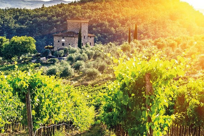 Chianti and Castle Small Group Tour From San Gimignano - Additional Information