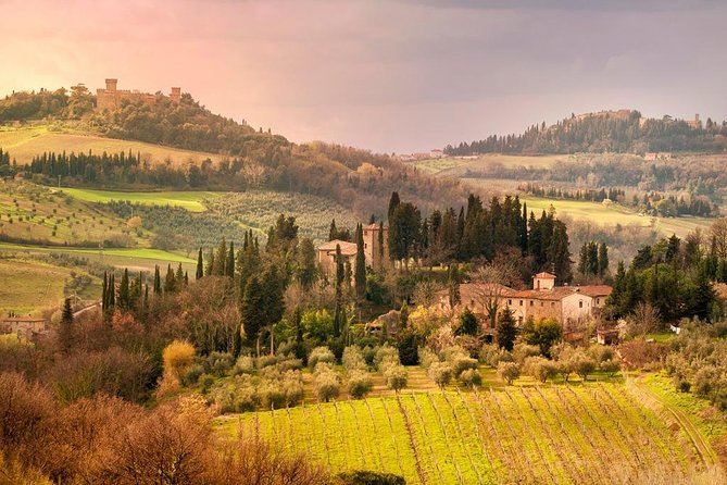 Chianti and Castle Small Group Tour From San Gimignano - The Sum Up