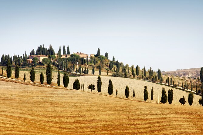 Chianti and Castle Small Group Tour From Siena With Wine Tasting - Tour Overview