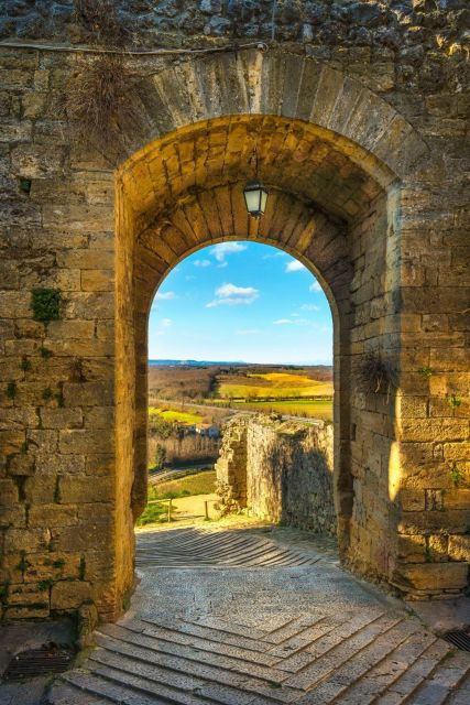 Chianti Classico and Monteriggioni - Private Experience - Activities