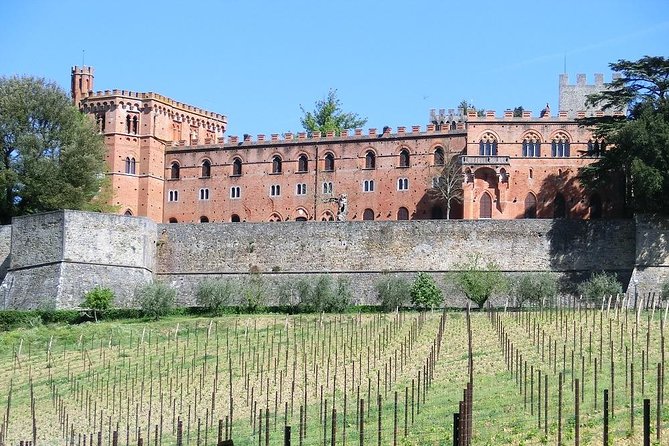 Chianti Classico E-Bike Tour - Tour Highlights