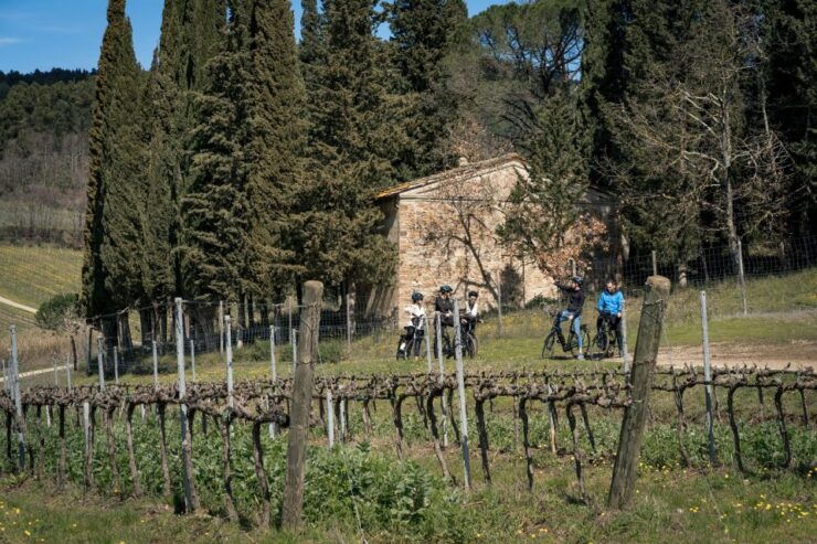 Chianti Classico: E-Bike Tour With Lunch and Tastings - Good To Know