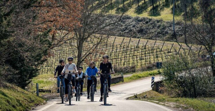 Chianti Classico: E-Bike Tour With Lunch and Tastings - Tour Details