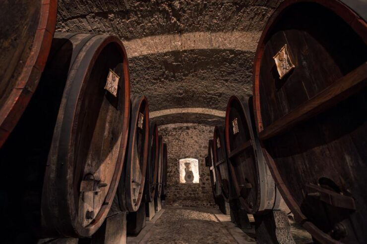 Chianti Classico: E-Bike Tour With Lunch and Tastings - Tour Highlights